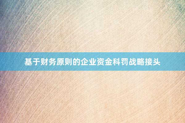 基于财务原则的企业资金科罚战略接头