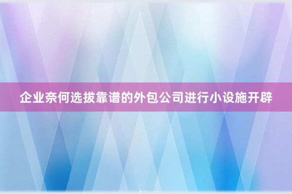 企业奈何选拔靠谱的外包公司进行小设施开辟