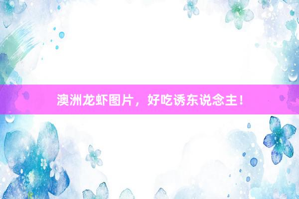 澳洲龙虾图片，好吃诱东说念主！