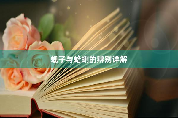 蚬子与蛤蜊的辨别详解